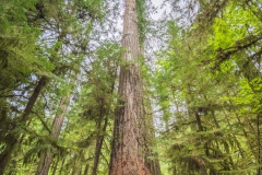 Kanada_-_190513-058