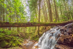 Kanada_-_190519-070