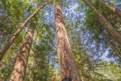 Kanada_-_190519-071