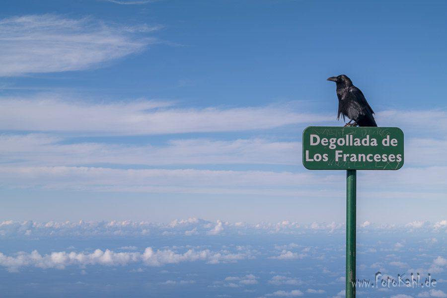 La Palma - Die Aussicht genießen.
