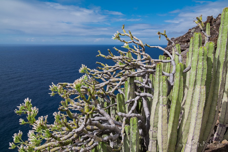 La Palma - 600 Höhenmeter wieder hoch nach Tijarafe