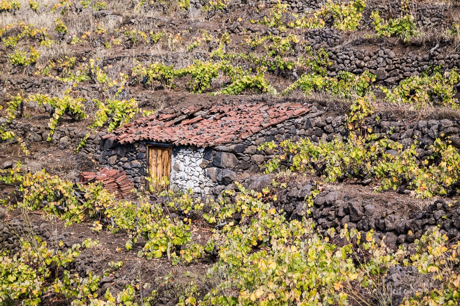 La Palma - Wohnen im Weinberg.