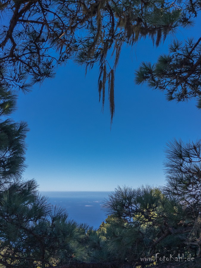La Palma - Durchblick auf der LP-109