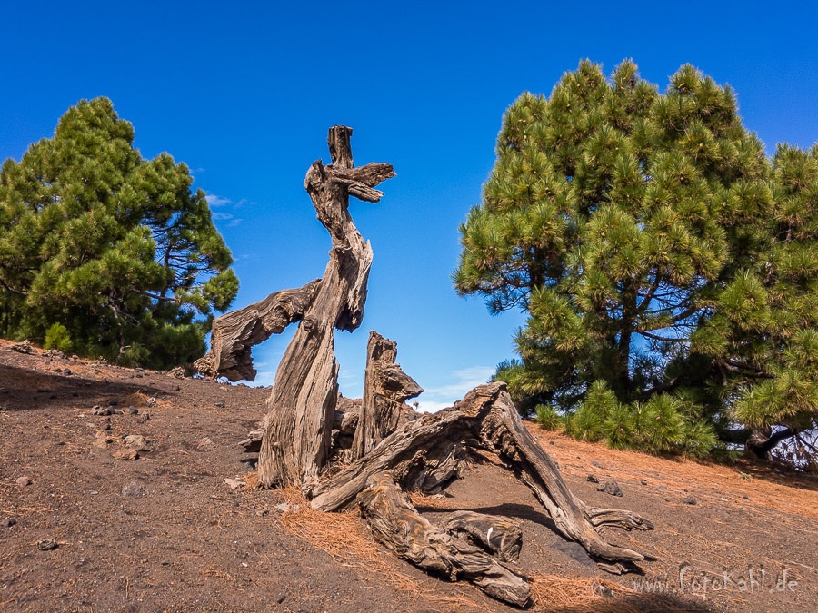 La Palma - Skulpturen.