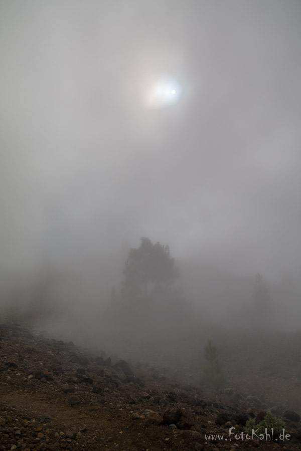 La Palma - Rauch? Nebel? Wolken!