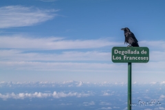 La Palma - Die Aussicht genießen.