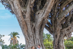 La Palma - Echt Riesig.