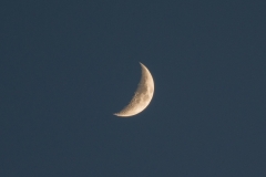 La Palma - 137