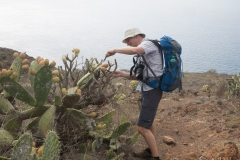 La Palma - 1x Kaktusfeige bitte ....