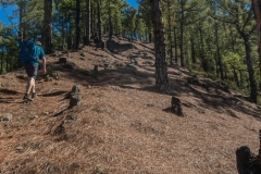 La Palma - Steil Berg auf zum Kraterrand