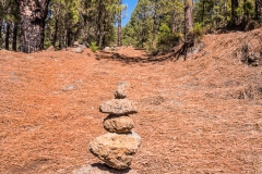 La Palma - Steinmann!