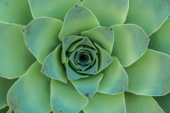 La Palma - Sooooooo Grüüüüüüün