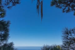 La Palma - Durchblick auf der LP-109