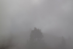 La Palma - Rauch? Nebel? Wolken!