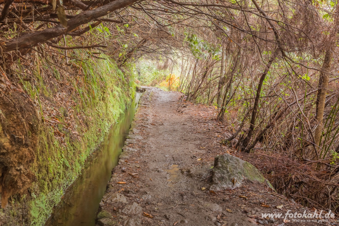 Tunnelblick.