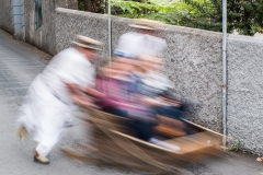 ... finanzstarke Touristen zu einer rasanten Schlittefahrt.