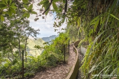 Wanderung an einer Levada.