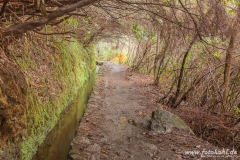 Tunnelblick.