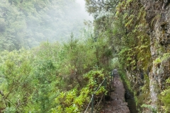 Wandern durch den Nebelwald.