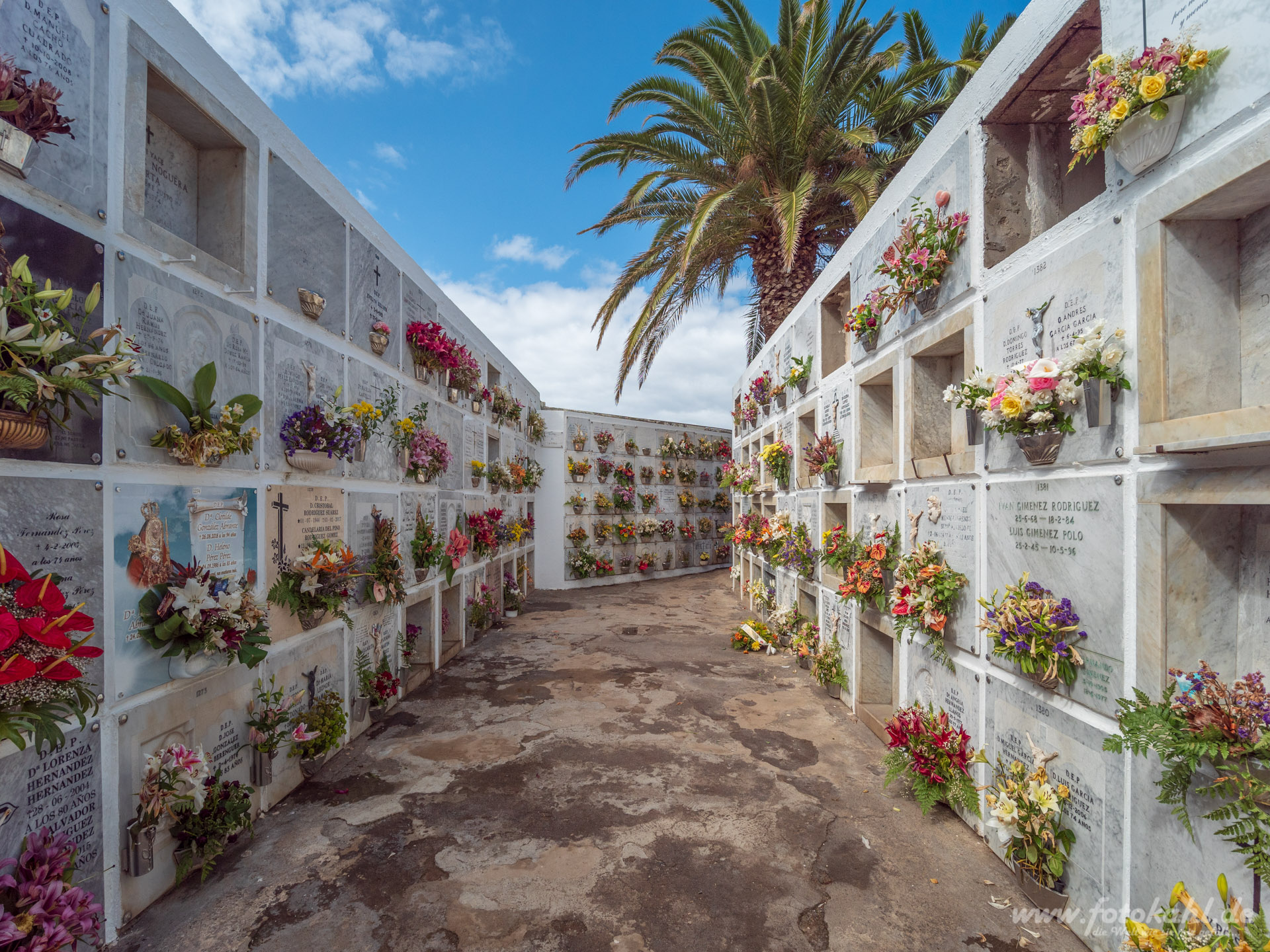 Puerto de la Cruz - Städtischer Friedhof.