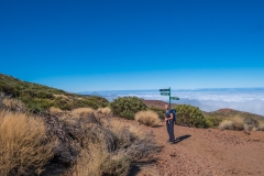 Teneriffa - Wandern im Nationalpark.